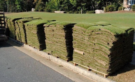 Venda de Tapete de Grama Bermuda Itu - Tapete de Grama de Qualidade