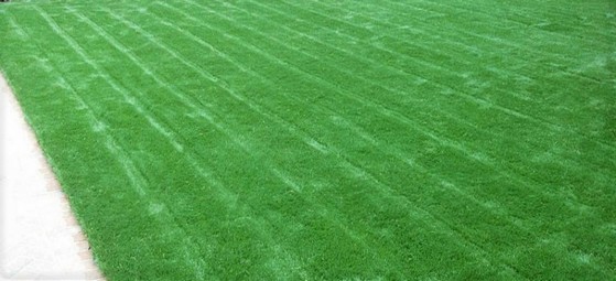 Venda de Tapete de Grama Verde Araraquara - Tapete de Grama para Decoração